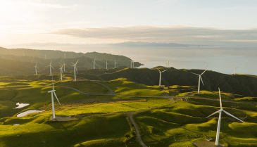 Leadership mapping sustainability